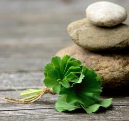 Pęczek ziół na tle ułożonych na sobie kamyków.